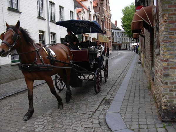 image 02