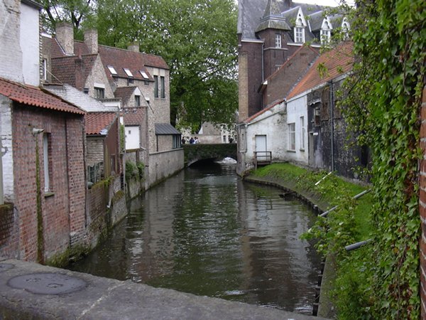 image 06