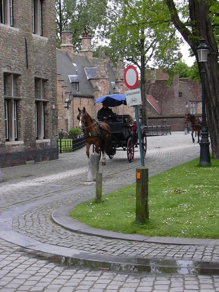 image 07