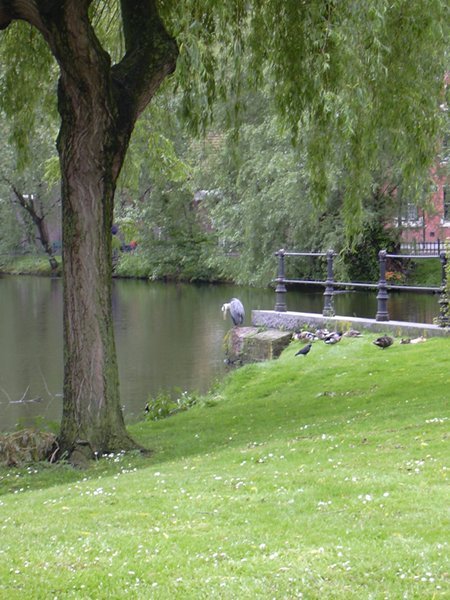 image 08
