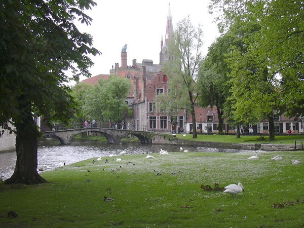image 09