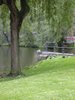image 08